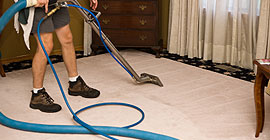 Carpet Cleaning
